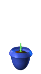 planta-imagem-animada-0016