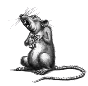 ratazana-imagem-animada-0097