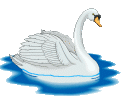 cisne-imagem-animada-0029