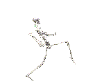 esqueleto-imagem-animada-0026