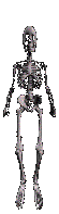 esqueleto-imagem-animada-0087