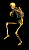 esqueleto-imagem-animada-0090