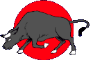 touro-imagem-animada-0002