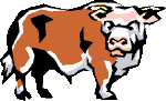 touro-imagem-animada-0010