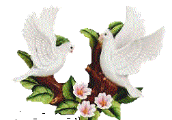pombo-imagem-animada-0040