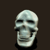 cranio-imagem-animada-0111