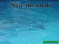 baleia-imagem-animada-0035