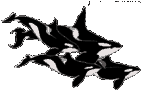 baleia-imagem-animada-0041